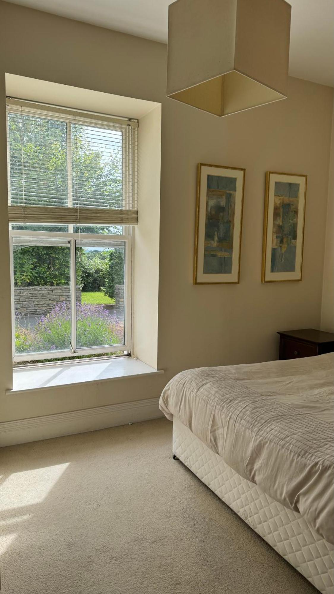 Room With Private Bathroom Near The Center Cork Eksteriør bilde